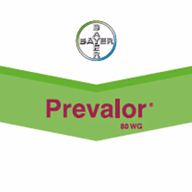 PREVALOR 80 WG