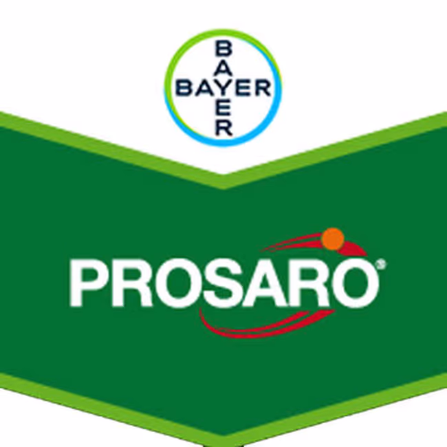 PROSARO