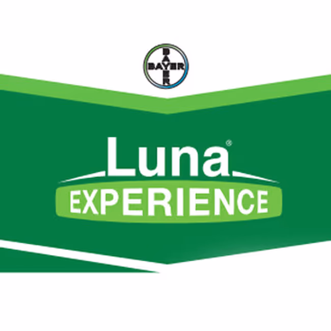 LUNA EXPERIENCE SC