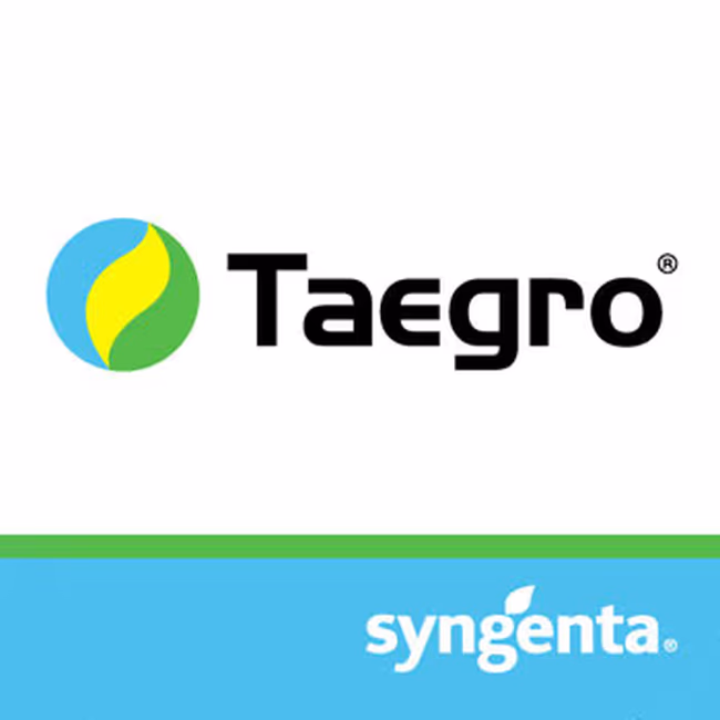 TAEGRO