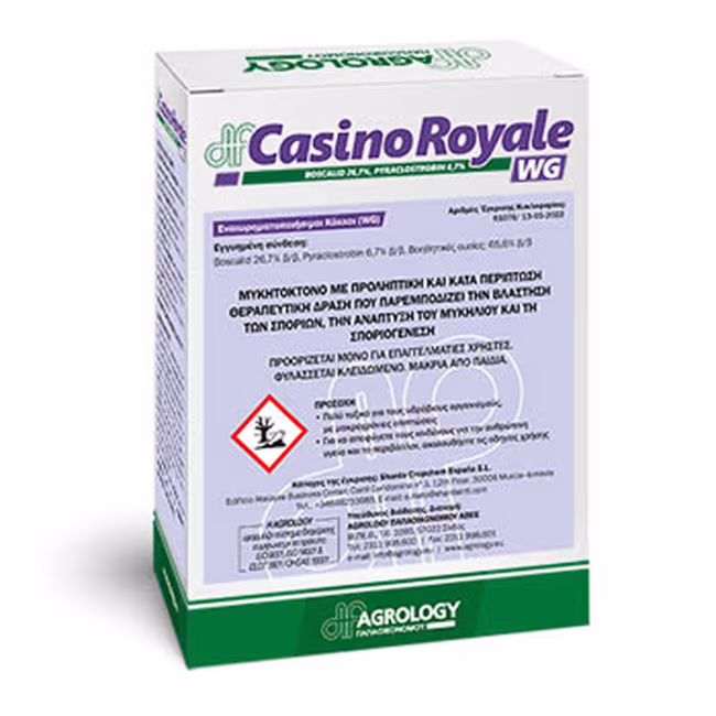 CASINO ROYALE