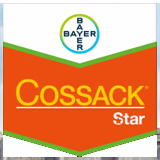 COSSACK STAR