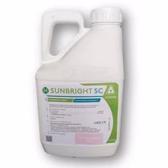 SUNBRICHT SC